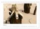 Thumbnail-10