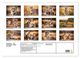 Thumbnail-10