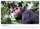 Thumbnail-11