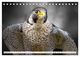 Thumbnail-11