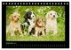 Thumbnail-14