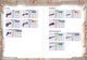 Thumbnail-13