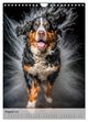 Thumbnail-13