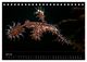 Thumbnail-12