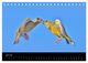 Thumbnail-9