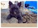 Thumbnail-10