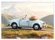 Thumbnail-10