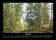 Thumbnail-11