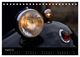 Thumbnail-10