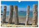 Thumbnail-11
