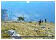Thumbnail-11