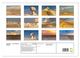 Thumbnail-10