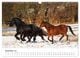 Thumbnail-14