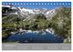Thumbnail-11