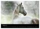 Thumbnail-12