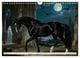 Thumbnail-12