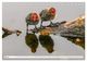 Thumbnail-10