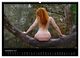 Thumbnail-12