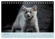 Thumbnail-11