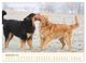 Thumbnail-14