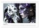 Thumbnail-13