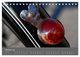 Thumbnail-12