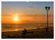 Thumbnail-12