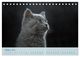 Thumbnail-12