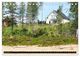 Thumbnail-14