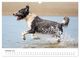 Thumbnail-12