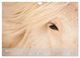 Thumbnail-10
