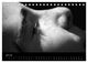 Thumbnail-9