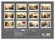Thumbnail-8
