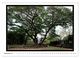 Thumbnail-14