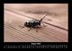 Thumbnail-12