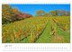 Thumbnail-8