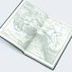 Thumbnail-2