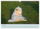 Thumbnail-12