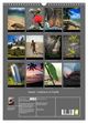 Thumbnail-14