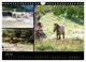 Thumbnail-12