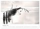 Thumbnail-13