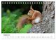Thumbnail-10