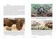Thumbnail-10