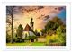 Thumbnail-14
