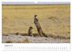 Thumbnail-13