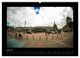 Thumbnail-12