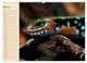 Thumbnail-10