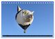 Thumbnail-11