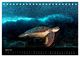 Thumbnail-9