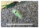 Thumbnail-14